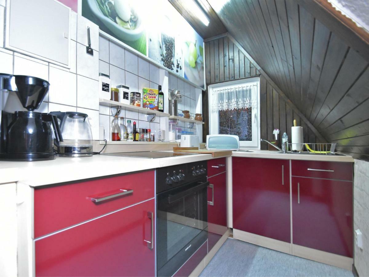 Quaint Holiday Home In Elbingerode Near Forest Neuwerk (Saxony-Anhalt) Exterior foto